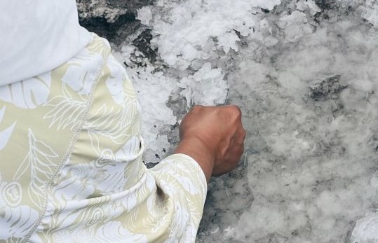 特寫鏡頭顯示一隻手伸入岩石縫隙中，手工採集白色的天然海鹽結晶。